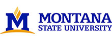 montana state university