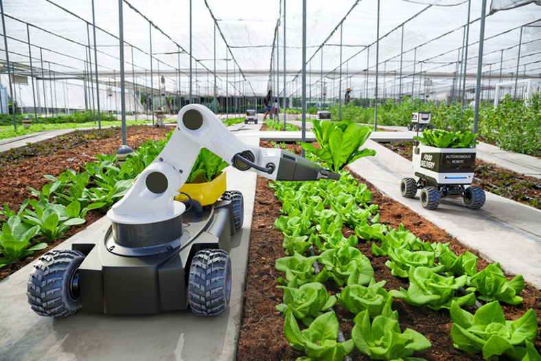 robots gardening in greenhouse
